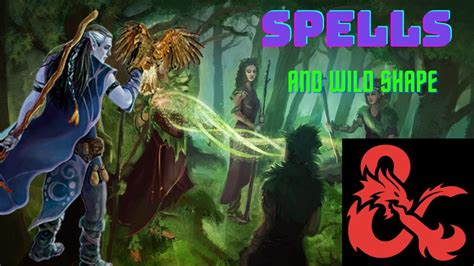 druid spells 5e roll20.